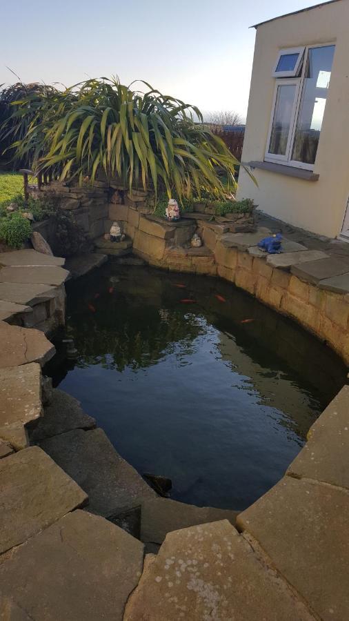 Bed and Breakfast Sunrise View Castlemagee Exterior foto