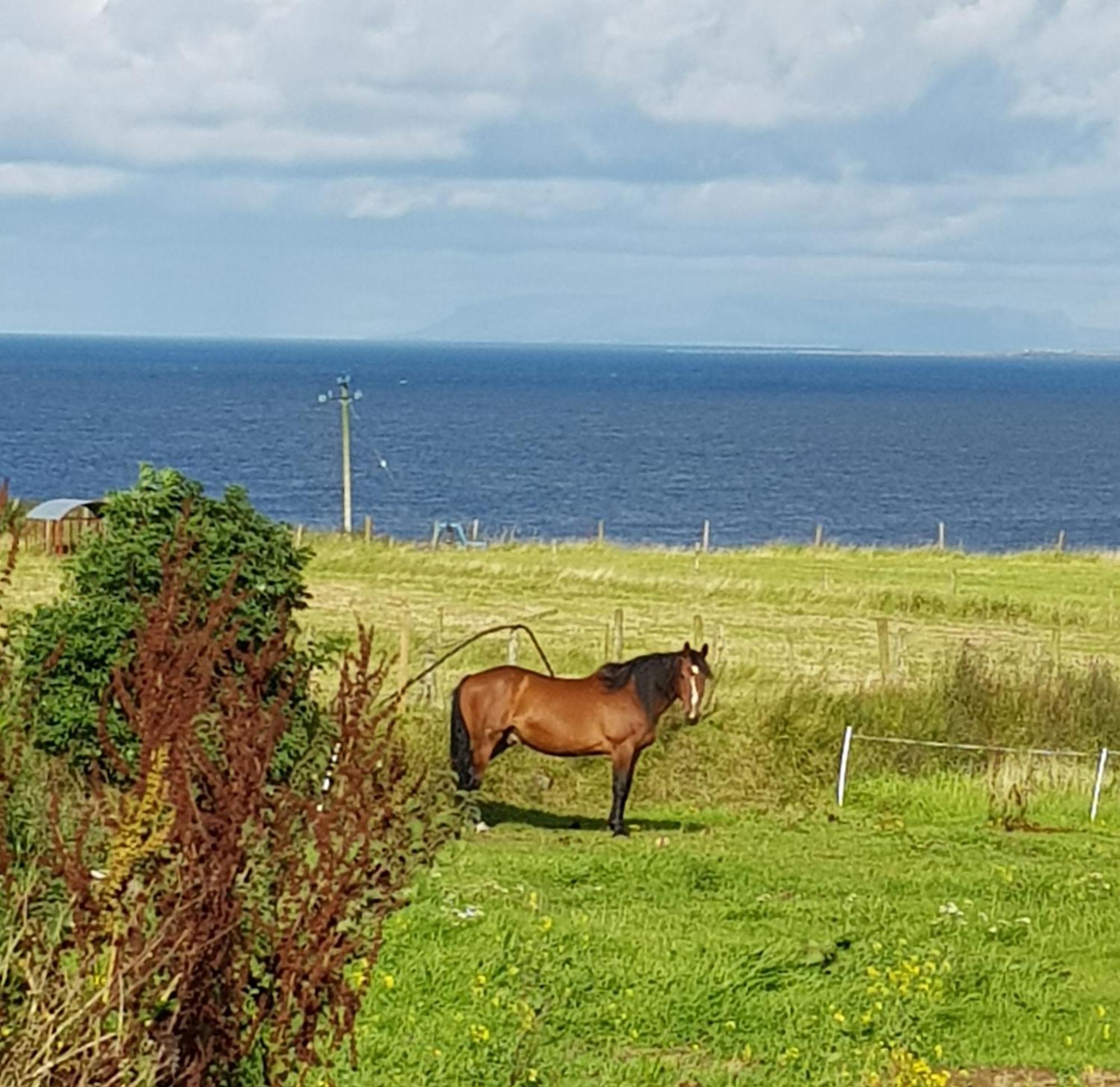 Bed and Breakfast Sunrise View Castlemagee Exterior foto