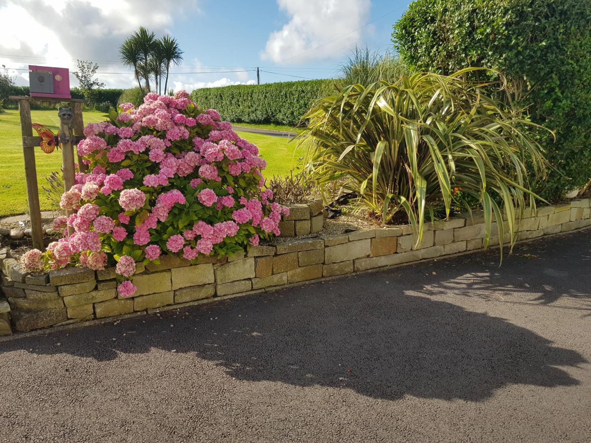 Bed and Breakfast Sunrise View Castlemagee Exterior foto